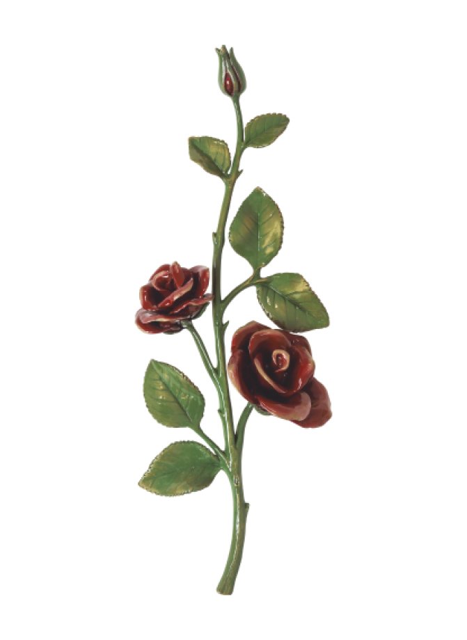 Rozes