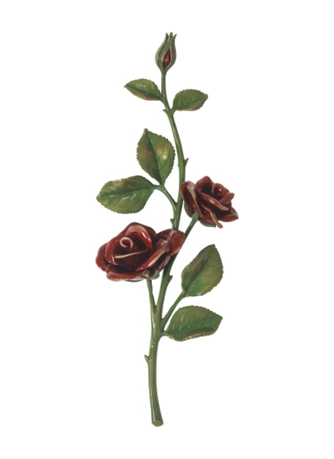 Rozes