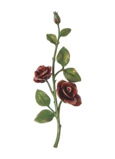 Rozes