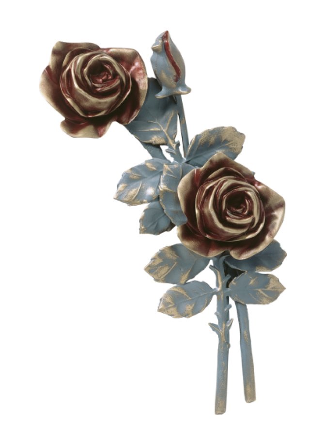 Rozes