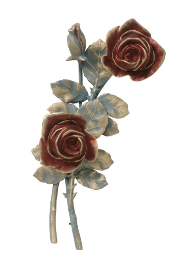 Rozes