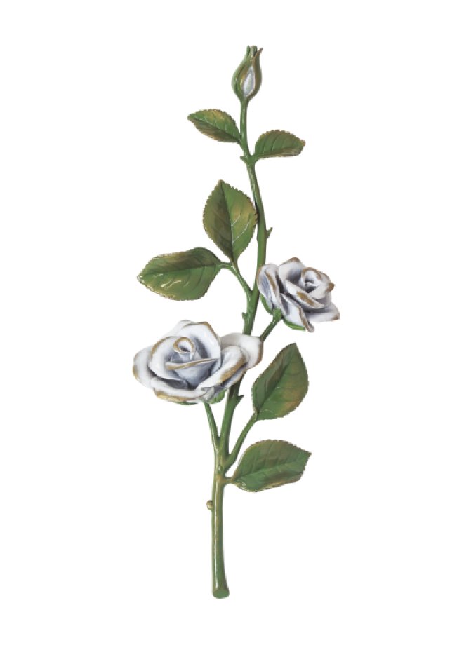 Rozes