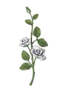 Rozes