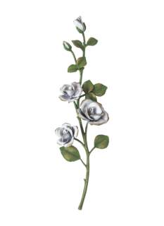 Rozes