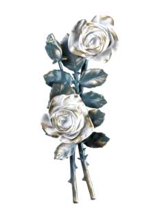 Rozes
