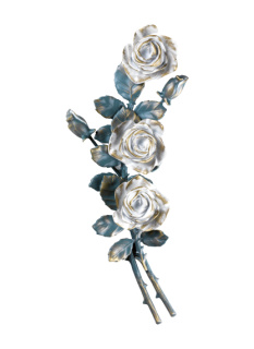 Rozes