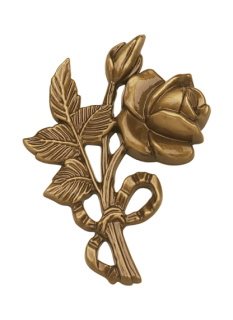 Rozes