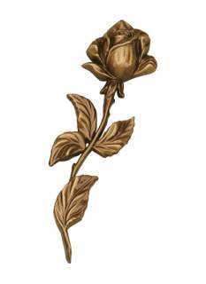 Rozes