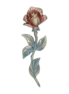 Rozes