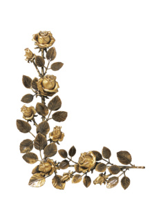 Rozes