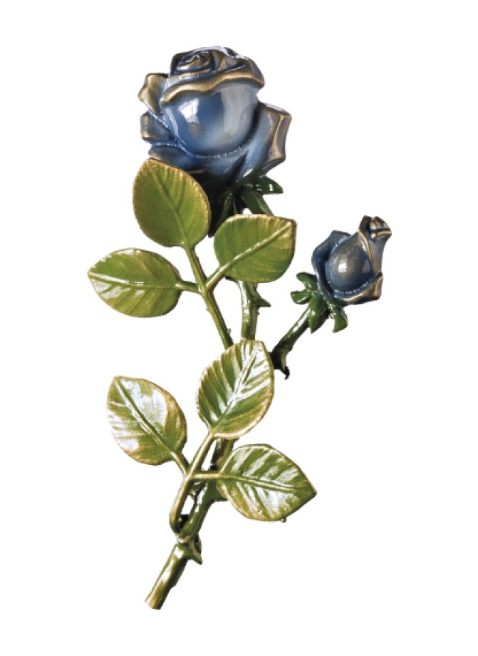 Rozes