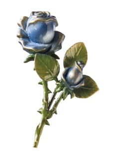 Rozes