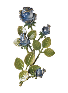 Rozes