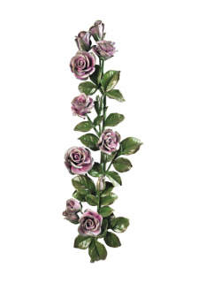 Rozes