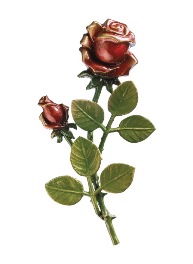 Rozes