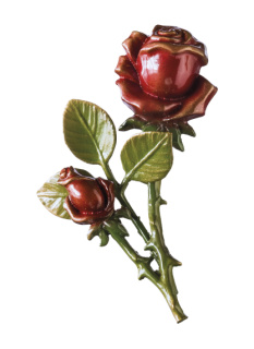 Rozes