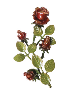 Rozes