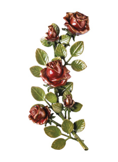 Rozes