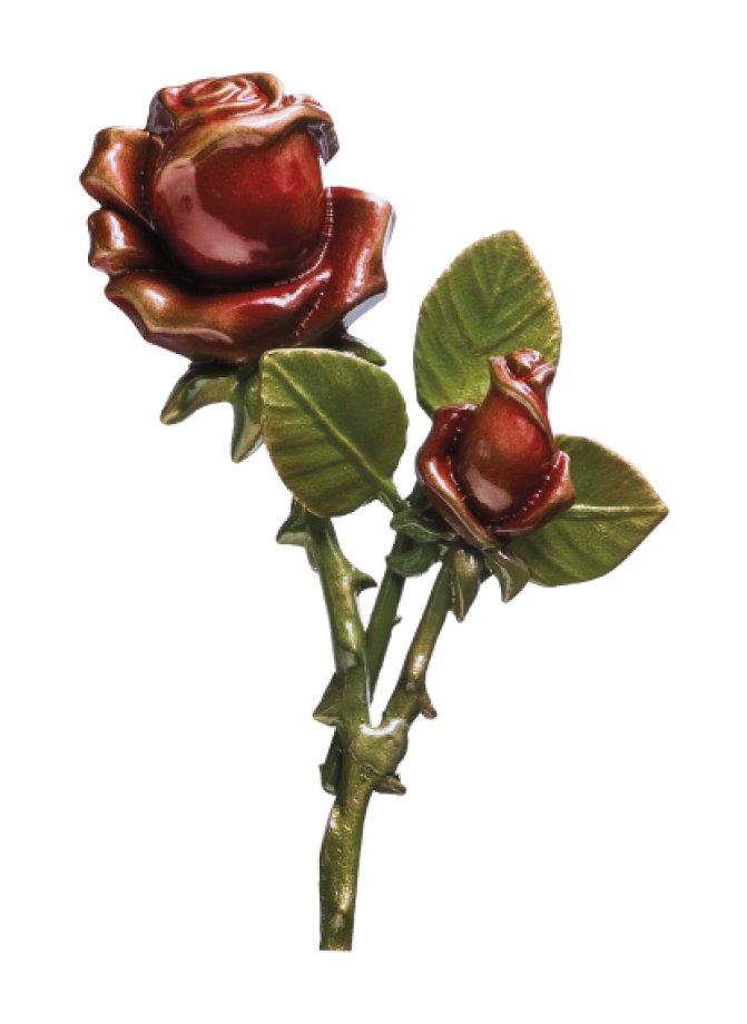 Rozes