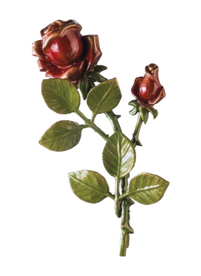 Rozes