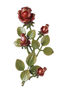 Rozes
