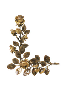 Rozes