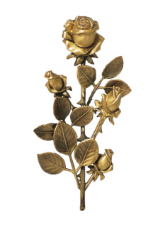 Rozes