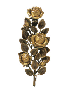 Rozes