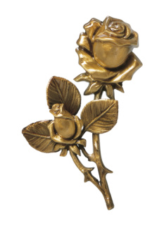 Rozes