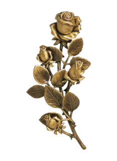 Rozes