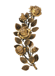 Rozes
