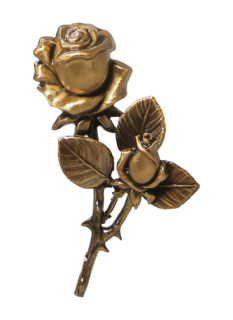 Rozes