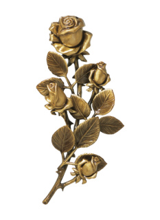 Rozes