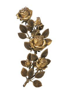Rozes