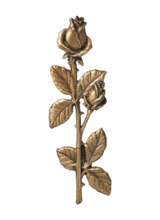 Rozes