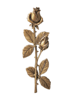 Rozes