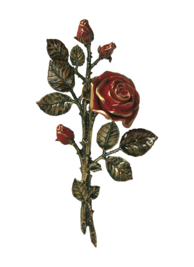 Rozes
