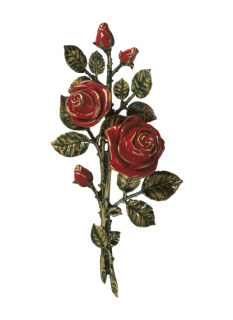 Rozes