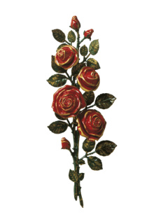 Rozes