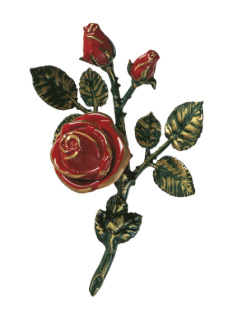 Rozes