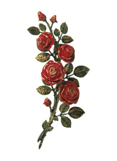 Rozes