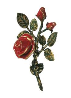 Rozes