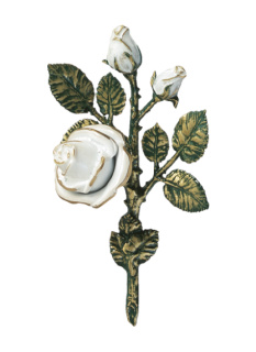 Rozes