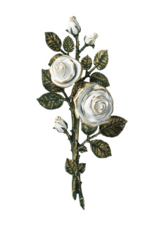 Rozes