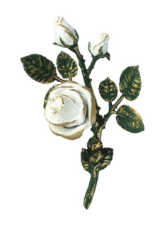 Rozes