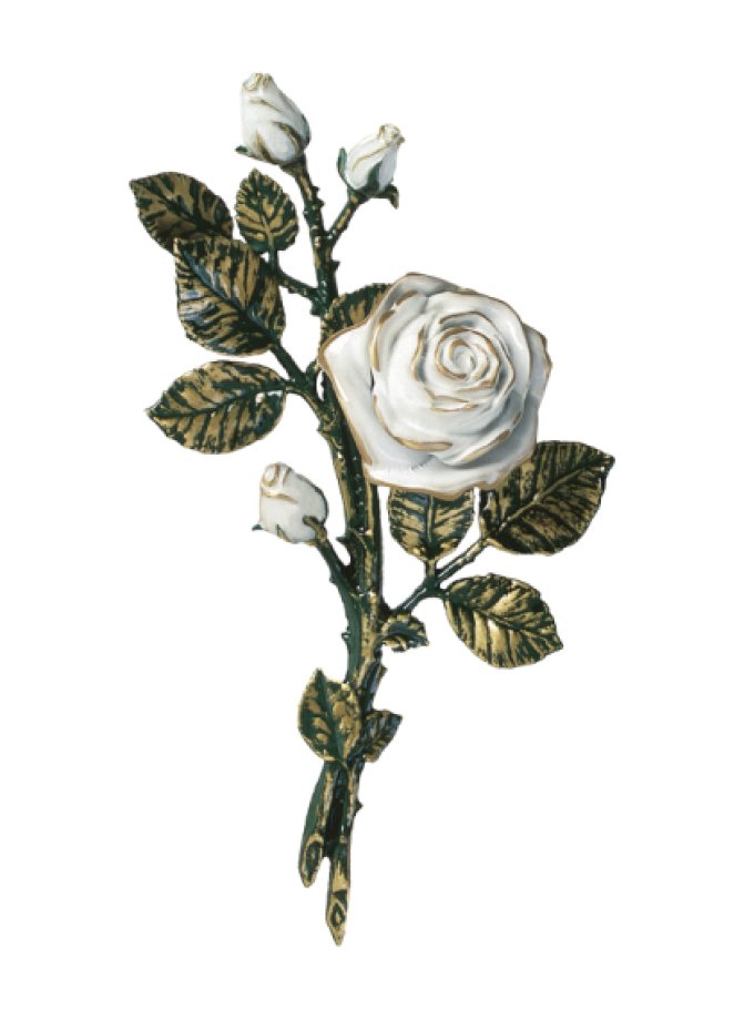 Rozes