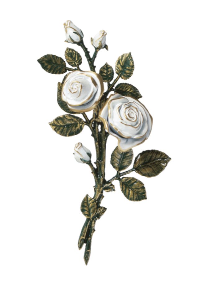 Rozes