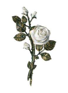 Rozes