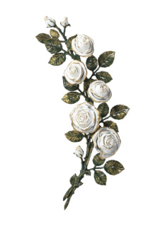 Rozes