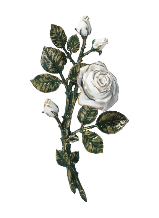 Rozes